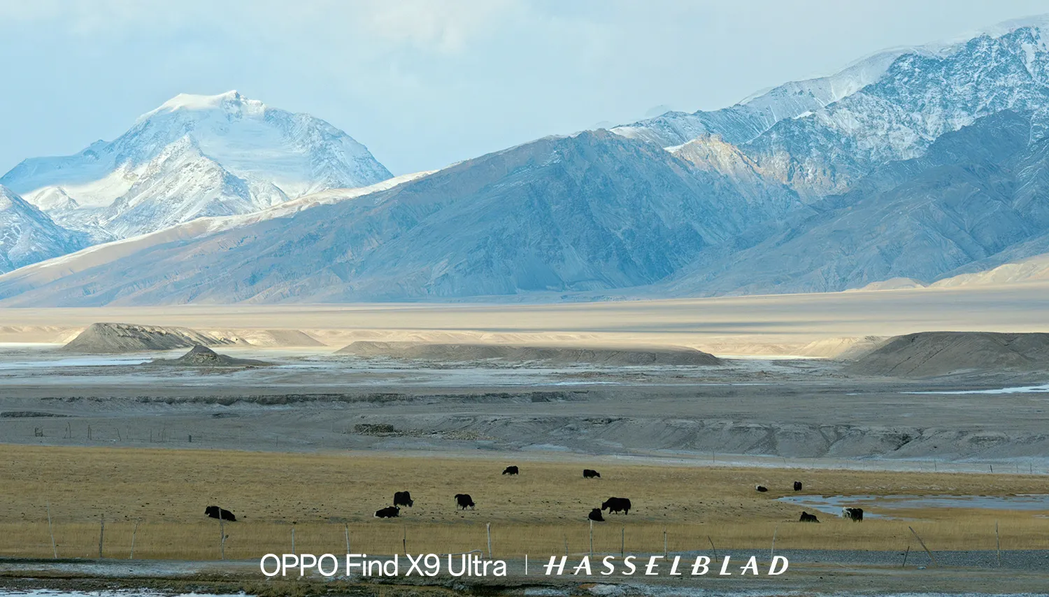 Foto paesaggistiche OPPO Find X9 Ultra, zoom 10x Hasselbla